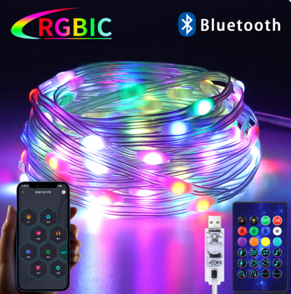 Christmas Bluetooth LED Lights